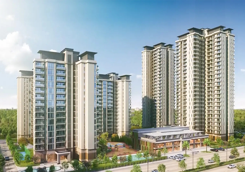 ACE Verde 05